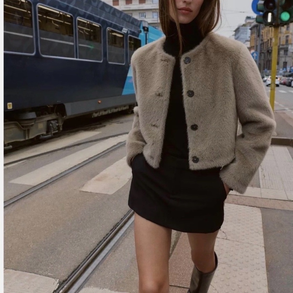 Zara Faux Fur Jacket